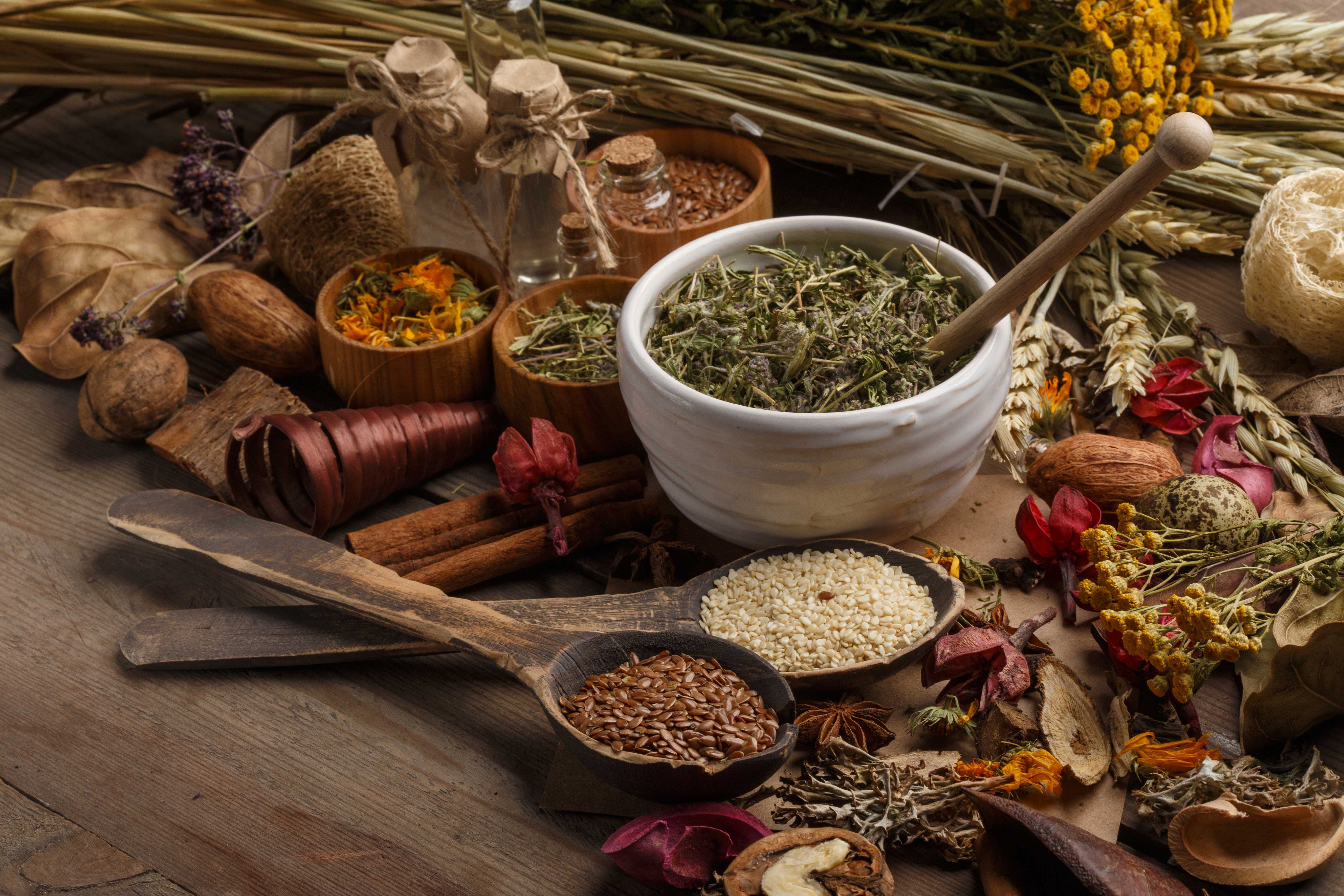 303 Herbal Medicines Courses In Port Macquarie Training au